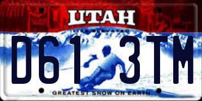 UT license plate D613TM