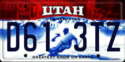 UT license plate D613TZ