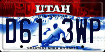 UT license plate D613WP