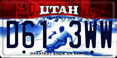 UT license plate D613WW