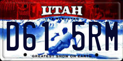 UT license plate D615RM