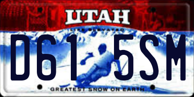 UT license plate D615SM