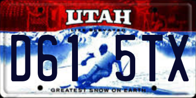 UT license plate D615TX