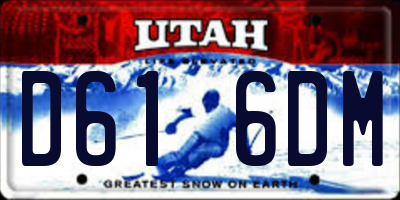 UT license plate D616DM