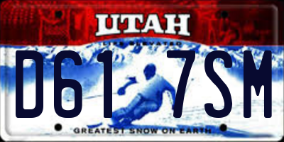 UT license plate D617SM