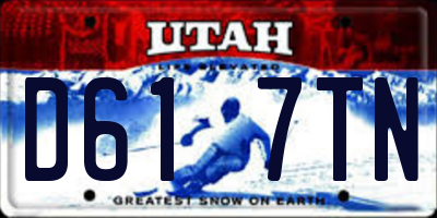 UT license plate D617TN