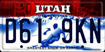 UT license plate D619KN