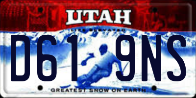 UT license plate D619NS