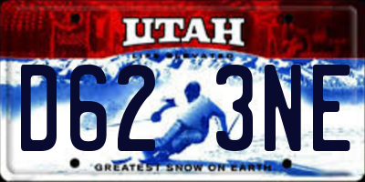 UT license plate D623NE
