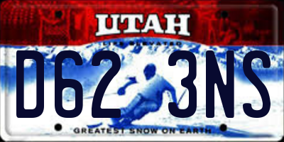 UT license plate D623NS
