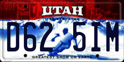 UT license plate D625IM