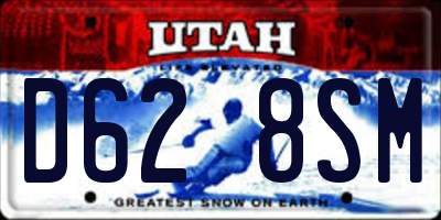 UT license plate D628SM