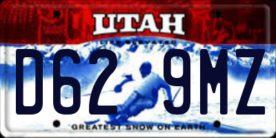 UT license plate D629MZ