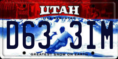 UT license plate D633IM