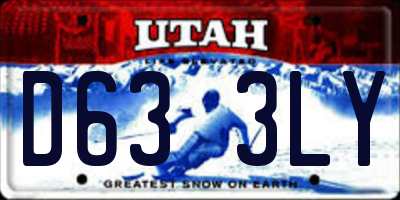 UT license plate D633LY