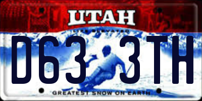 UT license plate D633TH