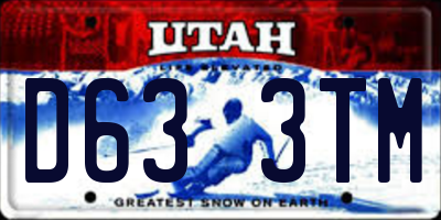 UT license plate D633TM