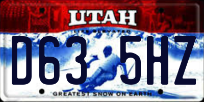 UT license plate D635HZ