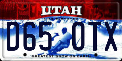 UT license plate D650TX