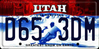 UT license plate D653DM