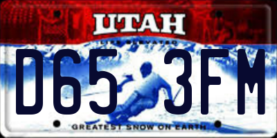UT license plate D653FM