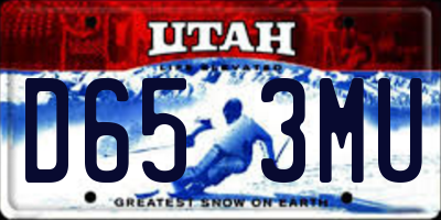 UT license plate D653MU