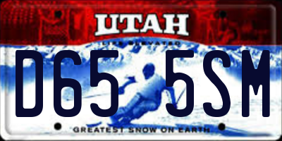 UT license plate D655SM