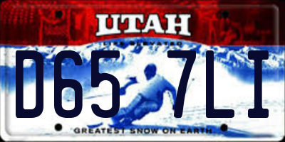 UT license plate D657LI