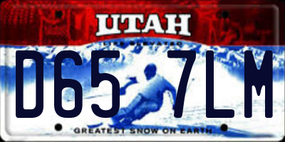 UT license plate D657LM