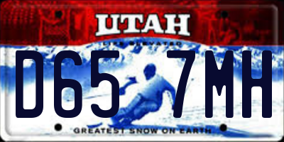 UT license plate D657MH
