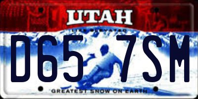 UT license plate D657SM