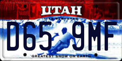 UT license plate D659MF