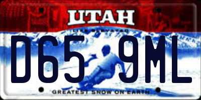 UT license plate D659ML