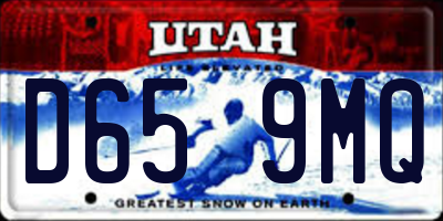 UT license plate D659MQ