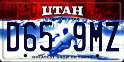 UT license plate D659MZ