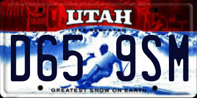 UT license plate D659SM