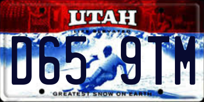 UT license plate D659TM