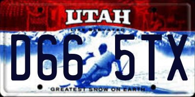 UT license plate D665TX