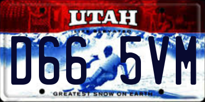 UT license plate D665VM