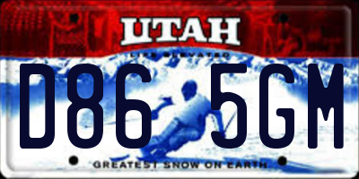 UT license plate D865GM