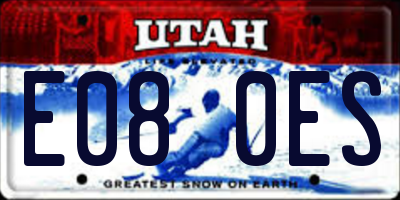 UT license plate E080ES
