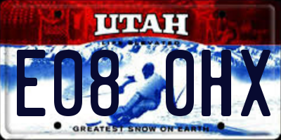 UT license plate E080HX
