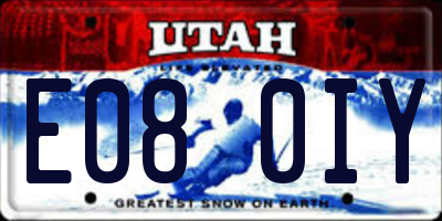 UT license plate E080IY