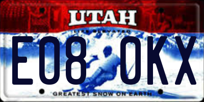 UT license plate E080KX