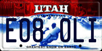 UT license plate E080LI