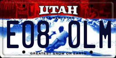 UT license plate E080LM