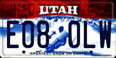 UT license plate E080LW