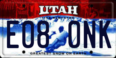 UT license plate E080NK