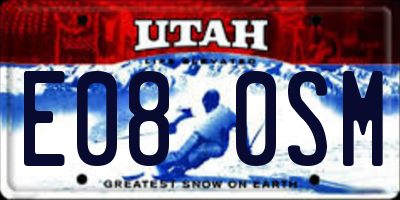 UT license plate E080SM
