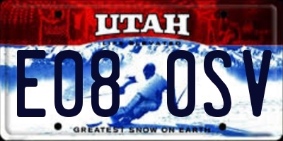 UT license plate E080SV